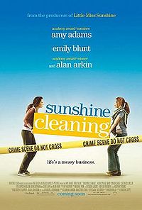 200px-Sunshine_cleaning