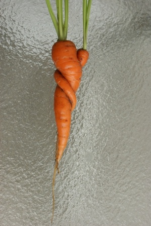 ing-orange-carrots